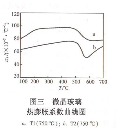 ͼ ΢ϵͼ a.T1(750棩b.T2(750棩